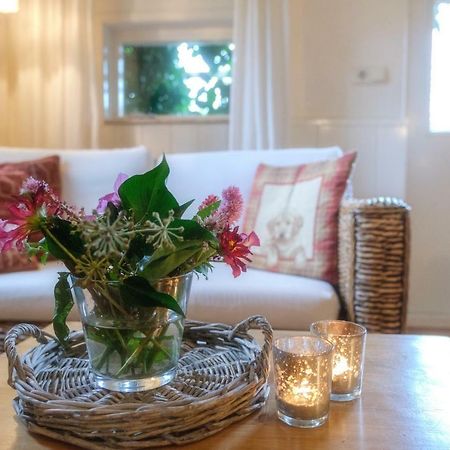 Oes-Tilber Bed & Breakfast Zweeloo Dış mekan fotoğraf