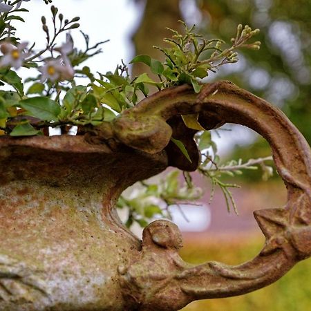 Oes-Tilber Bed & Breakfast Zweeloo Dış mekan fotoğraf
